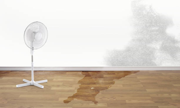Best Sewage cleanup and water damage restoration  in Sergeant Bluff, IA
