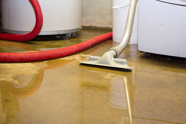 Best Water damage contractors near me  in Sergeant Bluff, IA