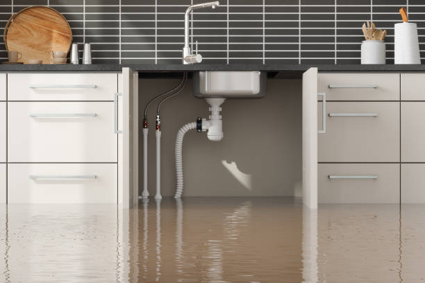  Sergeant Bluff, IA Water damage restoration Pros