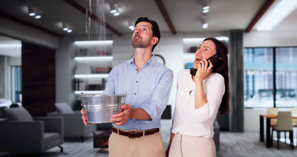 Best Water damage mitigation services  in Sergeant Bluff, IA